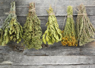 Variety of dried herbs on an old wooden background clipart