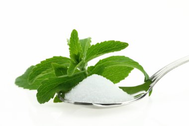 Fresh Stevia Rebaudiana and sugar in a spoon clipart