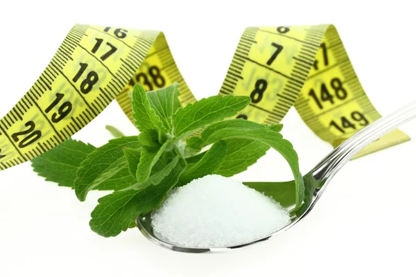 Fresh Stevia Rebaudiana, sugar in a spoon and measuring tape — Stock Photo, Image