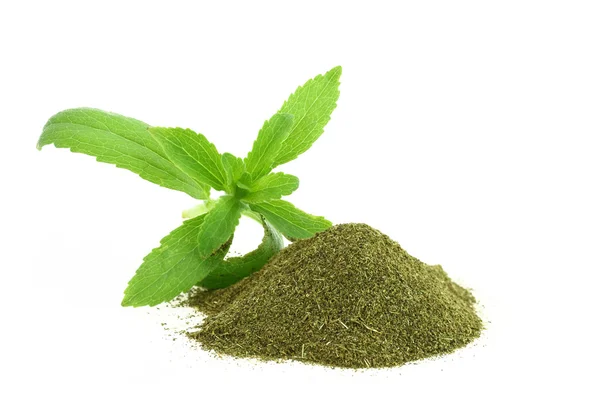 Rebaudiana stevia świeże i suche — Zdjęcie stockowe