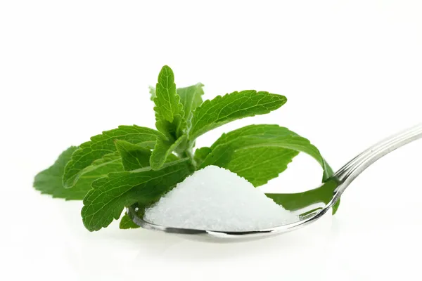 Stevia Rebaudiana fresca e açúcar em uma colher — Fotografia de Stock