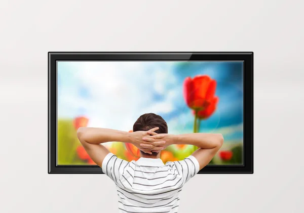 Erwachsener Mann schaut Aufklärungskanal über die Natur im Fernsehen — Stockfoto