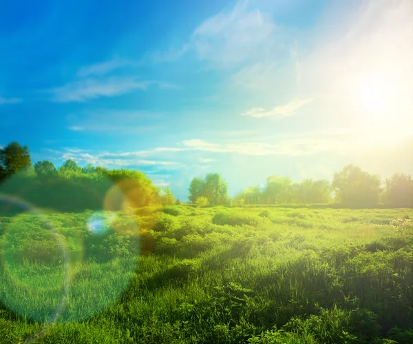 Beautiful landscape with grass, trees, sky and sun. — Stock Photo, Image