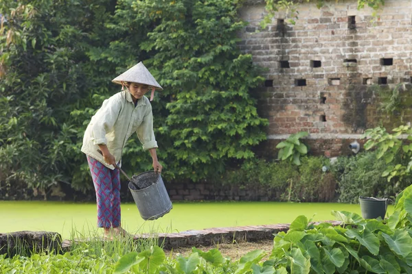Vietnamesischer Landwirt beim Anbau von Feldfrüchten Stockfoto