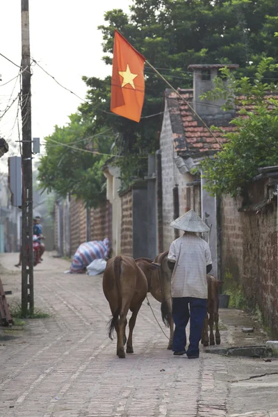 Vietnamees boer met water buffalo Rechtenvrije Stockfoto's