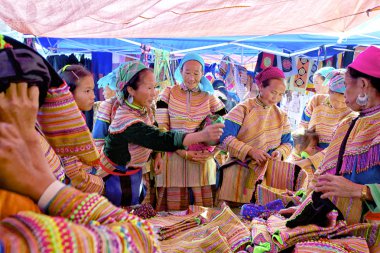 Vietnamca çiçek hmong etnik azınlık