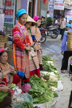 Vietnamese Flower Hmong Ethnic Minority clipart