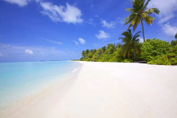 Tropisch eiland strand Stockafbeelding