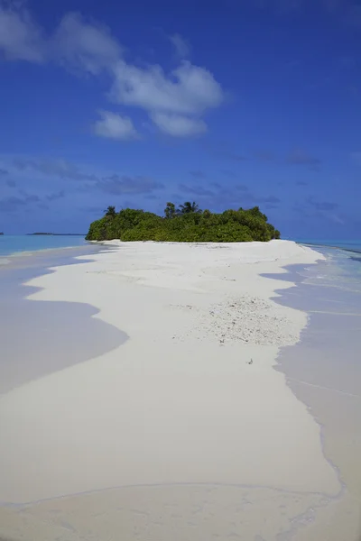 Playa de Isla Tropical Fotos de stock libres de derechos