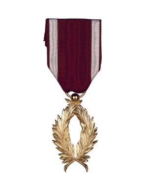 A Bronze awarded for valor in action. isolated with a clipping p clipart