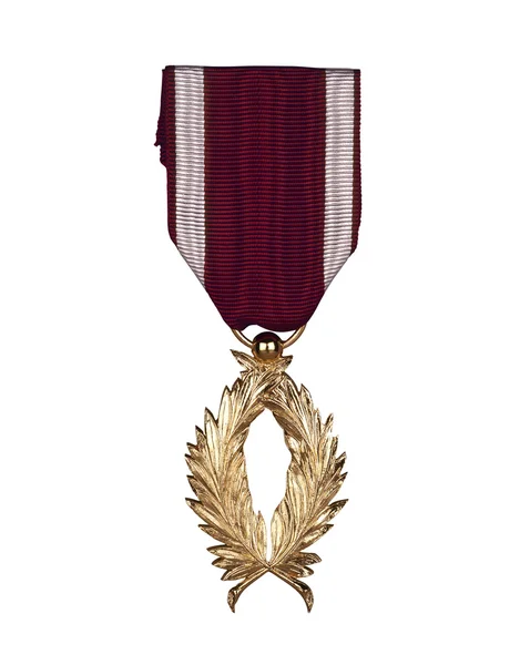 stock image A Bronze awarded for valor in action. isolated with a clipping p
