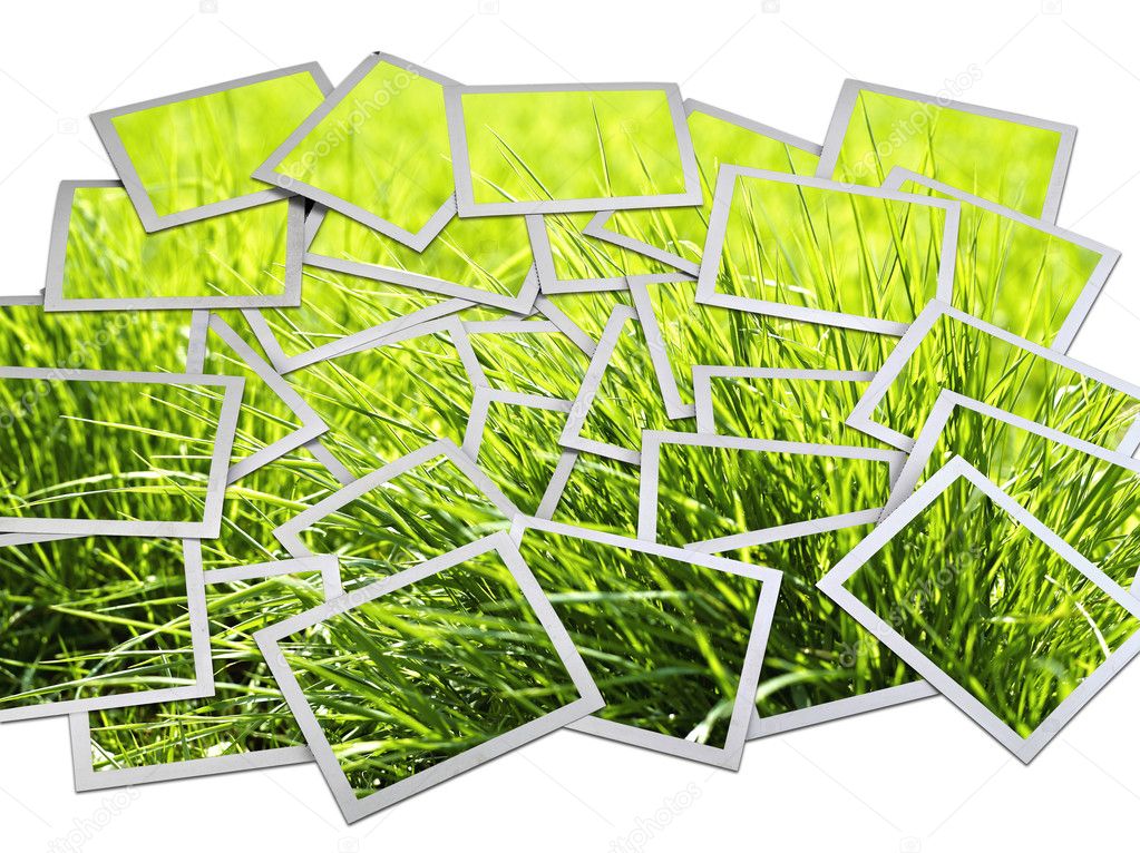 Photo frame with green grass in pictures