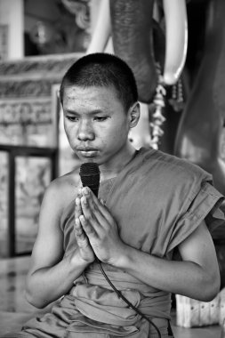 Tayland. Bangkok, genç bir Budist keşiş bir Budist tapınağında dua ediyor