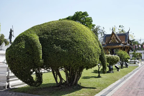 Tailandia, Bangkok, distrito de Yai, templo de Arun (Wat Arun Ratchawararam), árbol con forma de elefante en el jardín —  Fotos de Stock