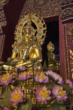 Tayland, chiang mai, prathat DOI suthep Budist tapınağı, altın buddha heykeli