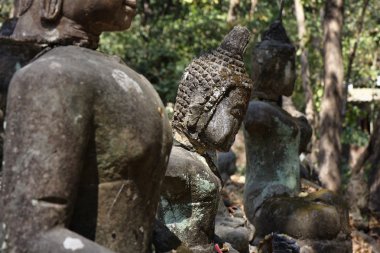 Tayland, chiang mai, u-mong Tapınağı, eski Buda heykelleri