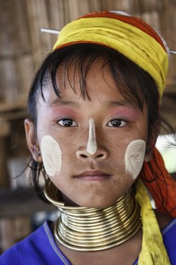 Thailand, Chang Mai, Karen Long Neck hill tribe village (Kayan Lahwi), young girl in traditional costumes. Women put brass rings on their neck when they are 5 or 6 years old and increase the number ev clipart