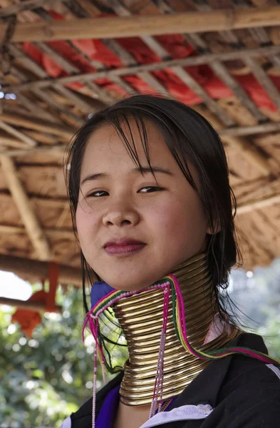 Thailand, chiang mai, karen long neck hill tribe village (kayan lahwi), langhalsige Frau in traditionellen Trachten. Frauen legen sich Messingringe um den Hals, wenn sie 5 oder 6 Jahre alt sind — Stockfoto