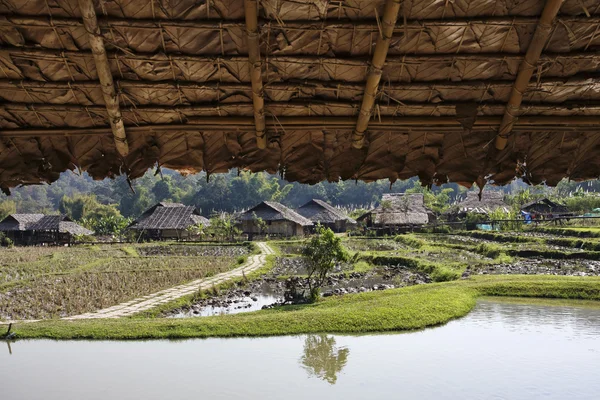 Tailândia, Chiang Mai, vista da aldeia Karen Long Neck Hill Tribe e campos de arroz — Fotografia de Stock