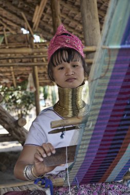 Tayland, chang mai, karen uzun boyunlu tepe kabile Köyü (kayan lahwi), uzun boyunlu kadın geleneksel kostümleri. 5 veya 6 yaşında olduğunda kadınlar pirinç halkalar kendi boynuna koy.