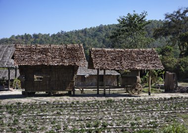 Tayland, chiang mai, karen uzun boyunlu tepe kabile köyün görünümü