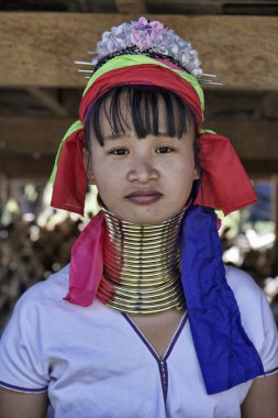 Tayland, chiang mai, karen uzun boyunlu tepe kabile Köyü (kayan lahwi), uzun boyunlu kadın geleneksel kostümleri. Ne zaman onlar 5 veya 6 yaşında ve num artırmak kadın pirinç halkalar kendi boynuna koy.