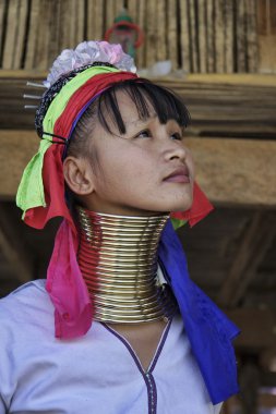 Thailand, Chiang Mai, Karen Long Neck hill tribe village (Kayan Lahwi), Long Neck woman in traditional costumes. Women put brass rings on their neck when they are 5 or 6 years old and increase the num clipart