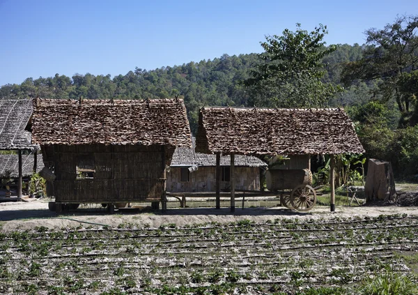 Thajsko, chiang mai, z vesnice kmene kopec dlouhý krk karen — Stock fotografie