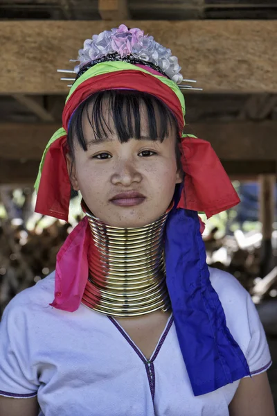 Thailand, chiang mai, karen lange nek heuvel stam dorp (kayan lahwi), lange nek vrouw in klederdracht. vrouwen zetten koperen ringen op hun nek wanneer ze 5 of 6 jaar oud zijn en de num verhogen — Stockfoto