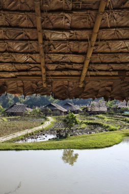 Tayland, chiang mai, karen uzun boyunlu tepe kabile köyün görünümü