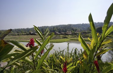 Tayland, chiang mai, karen uzun boyunlu tepe kabile köyün görünümü