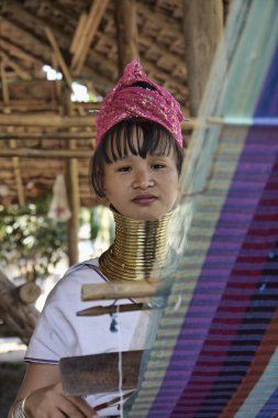 Tayland, chang mai, karen uzun boyunlu tepe kabile Köyü (kayan lahwi), uzun boyunlu kadın geleneksel kostümleri. Ne zaman onlar 5 veya 6 yaşında ve uyuşmuş artırmak kadınlar pirinç halkalar kendi boynuna koy.