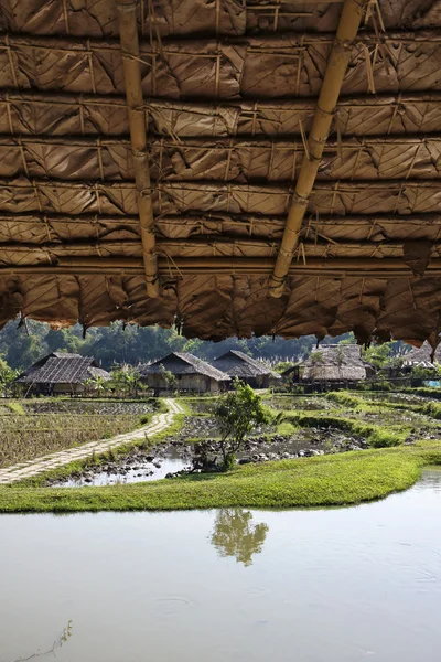 Thailand, chiang mai, Blick auf das karen long neck hill tribe village — Stockfoto