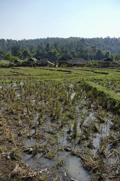 Thailand, chiang mai, weergave van de karen lange nek heuvel stam dorp — Stockfoto