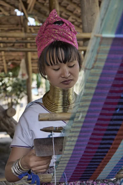 Thailandia, Chang Mai, Karen Long Neck villaggio collina tribù (Kayan Lahwi), donna collo lungo in costumi tradizionali. Le donne mettono anelli di ottone sul collo quando hanno 5 o 6 anni e aumentano l'intorpidimento. — Foto Stock