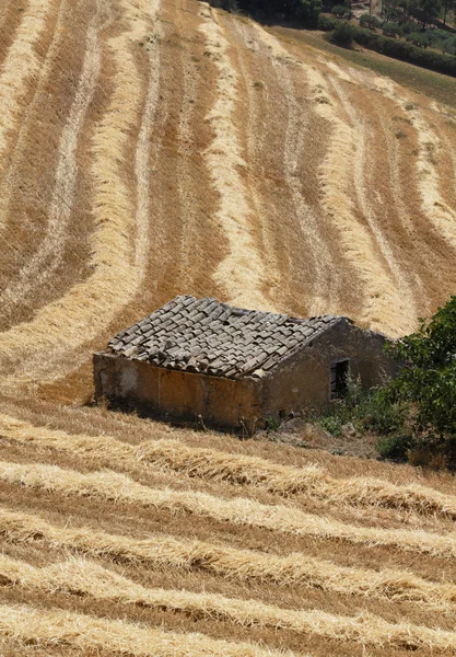 Italy, Sicily, Catania province, countryside, harvested hay field — Stock Photo, Image