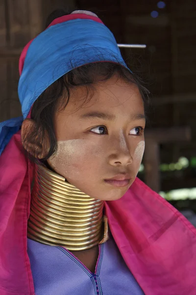 Таиланд, Чиангмай, деревня племени Карен Лонг Нек (Baan Tong Lhoung), молодая девушка Лонг Нек в традиционных костюмах. Женщины надевают медные кольца на шею, когда им 5 или 6 лет, и увеличивают — стоковое фото