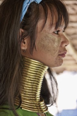 Thailand, Chiang Mai, Karen Long Neck hill tribe village (Baan Tong Lhoung), Long Neck woman in traditional costumes. Women put brass rings on their neck when they are 5 or 6 years old and increase th clipart