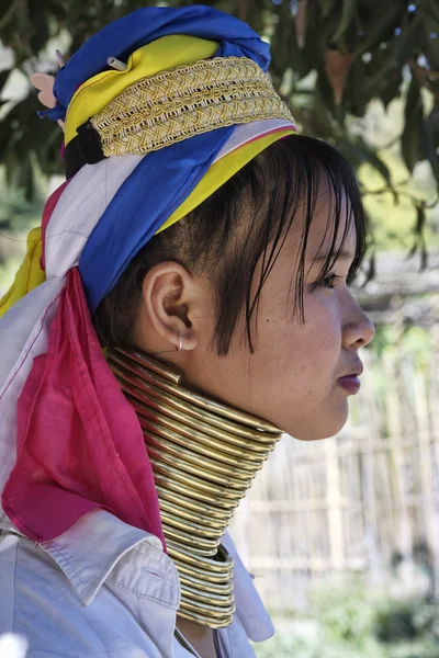 泰国，清迈，凯伦长长的脖子山部落村庄 (班通 lhoung），长长的脖子女人传统服饰。妇女把黄铜戒指放在他们的脖子上时他们是 5、 6 岁和增加 th — 图库照片