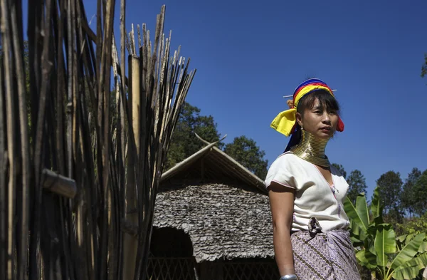 Tailândia, Chiang Mai, Karen Long Neck aldeia tribo colina (Baan Tong Lhoung), Mulher de pescoço longo em trajes tradicionais. As mulheres colocam anéis de latão em seu pescoço quando têm 5 ou 6 anos de idade e aumentam — Fotografia de Stock
