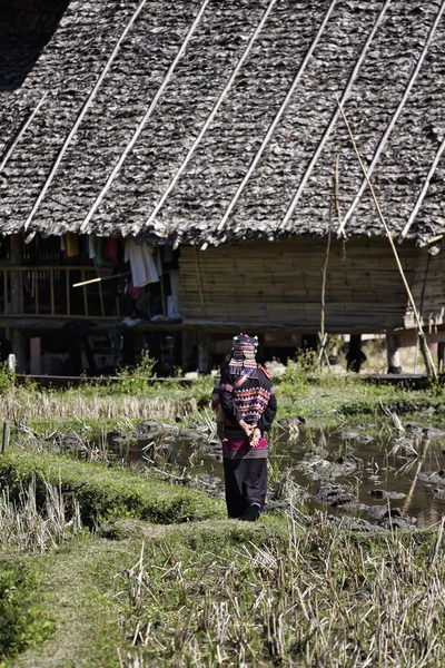 Thailand, Chiangmai, Baan Tong Luang, Karen-Dorf, Karen-Frau, die zu Fuß in ein Reisfeld — Stockfoto