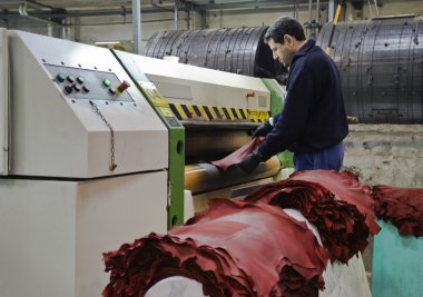 İtalya, Napoli, inek deri deri fabrikasında boyama