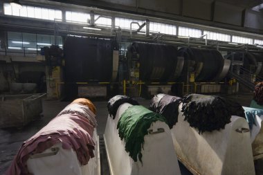 Italy, Naples, industrial, colored cow leather in a leather factory