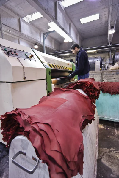 Italy, Naples, cow leather coloring in a leather factory — Stock Photo, Image