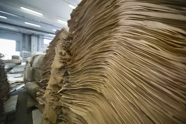 意大利那不勒斯，牛皮革皮革厂 — 图库照片