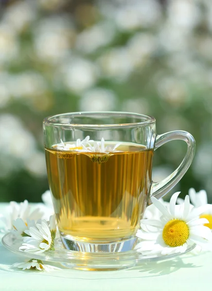 stock image Herbal tea