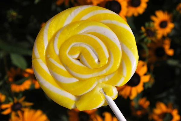 黄色のキャンディーのロリポップ ロイヤリティフリーのストック画像