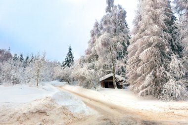 Alman harz kışın