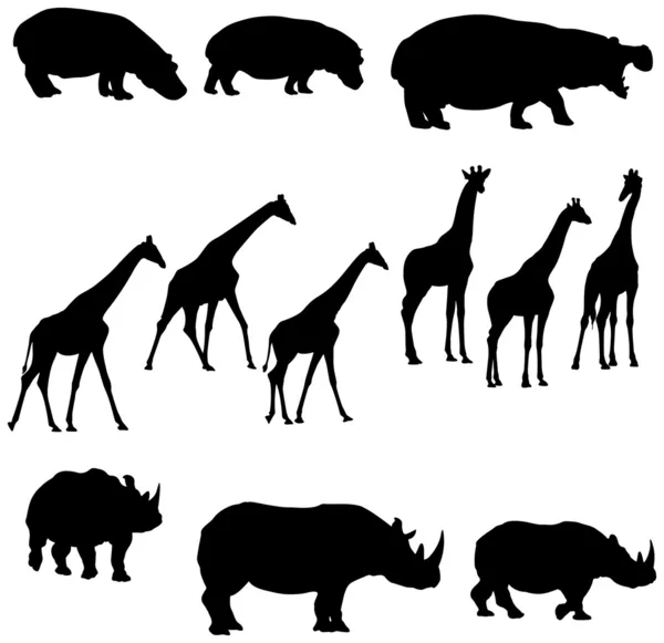 Rinoceronte giraffa ippopotamo — Vettoriale Stock