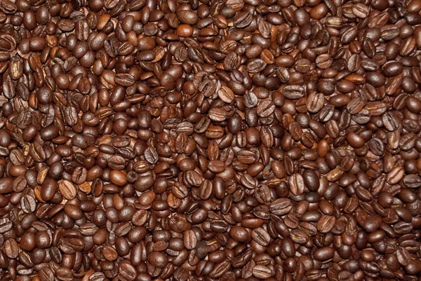 Coffee beans background 1 - Kaffee-Bohnen-Hintergrund — Stock Photo, Image